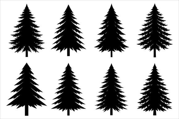 Elegant Pine Tree Vector Art: Creative Uses and Applications