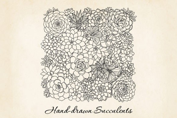Succulents Frame SVG Clipart, Hand-drawn: A Versatile Design Asset for Creative Projects
